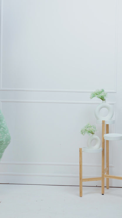 Pistachio Paradise Top & Pant Co-ord Set